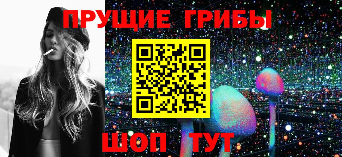 Галлюциногенные грибы GOLDEN TEACHER  Псилоцибиновые грибы GOLDEN TEACHER  Петрозаводск  Вход с VPN 